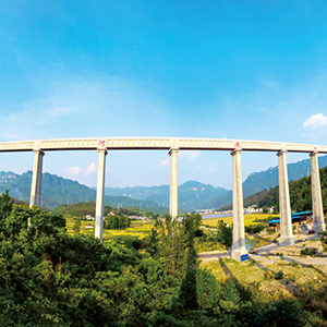 湖北省漳河总干渠2025年工程运行维护项目（小型水库维修养护） 竞争性谈判结果公示
